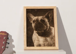 13_01069e2e-8b85-4452-b985-b7628d521fe0