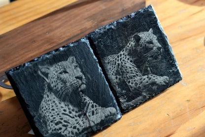 76_1x_e15ee331-6ae8-47eb-bdfa-02a2683707d3